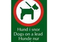 A26 · Hund i snor DK/GB/D · 10x15 cm.